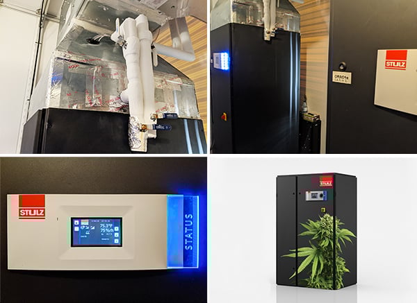 STULZ-CyberOne-Temperature-and-Humidity-Control-in-STEM-Cultivation-Group-Image
